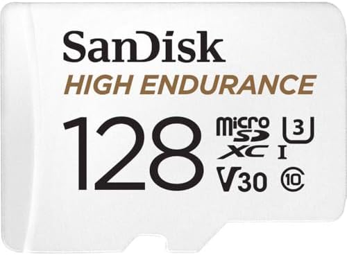 SanDisk 128GB High Endurance (B07NY23WBG)