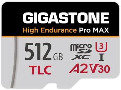 Gigastone 256GB with Data Recovery (B0DM2D2YV7)